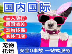 库车龟兹机场快运国际宠物托运 【国